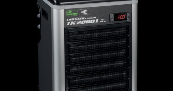TK-2000L Square (Medium)-